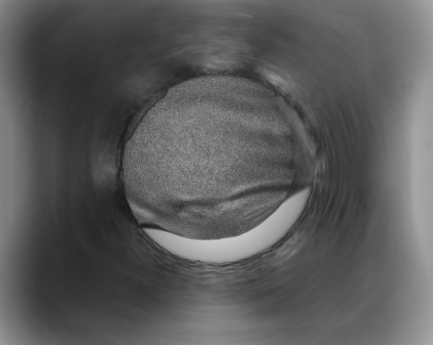 X0000088441300200706121501