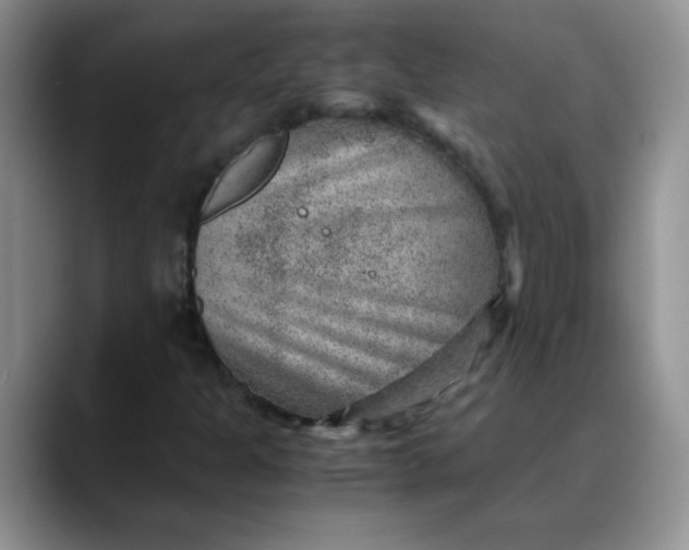 X0000088441301200706121501