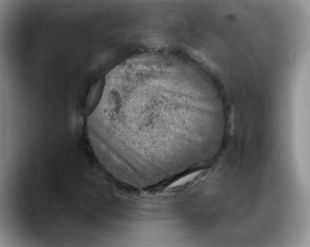 X0000088441302200706121501