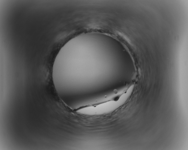 X0000088441303200706121501
