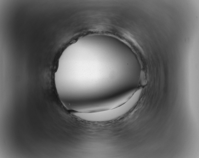 X0000088441304200706121501