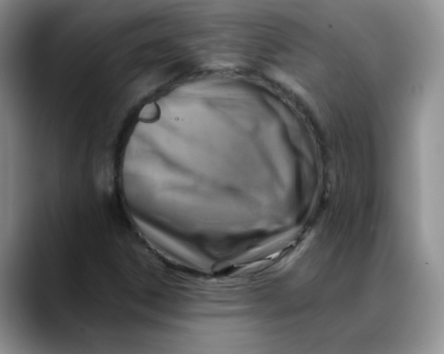 X0000088441306200706121501