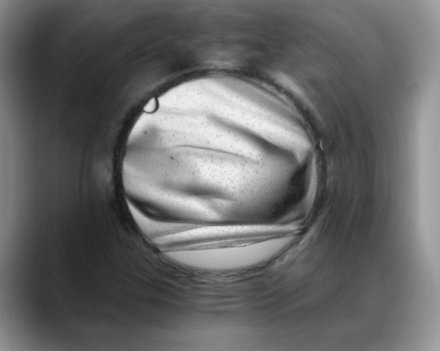 X0000088441307200706121501