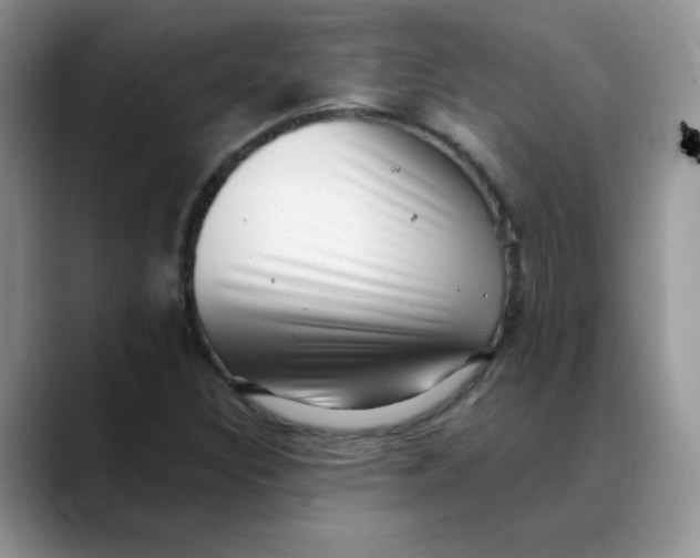 X0000088441308200706121501