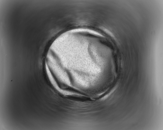 X0000088441309200706121501