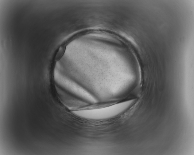 X0000088441311200706121501