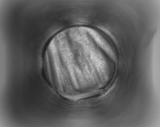 X0000088441317200706121501