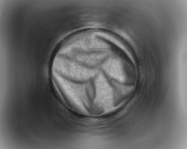 X0000088441318200706121501