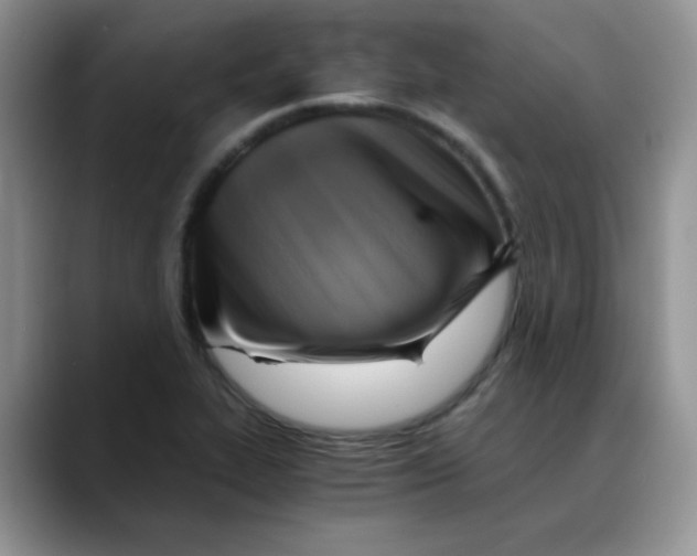 X0000088441319200706121501