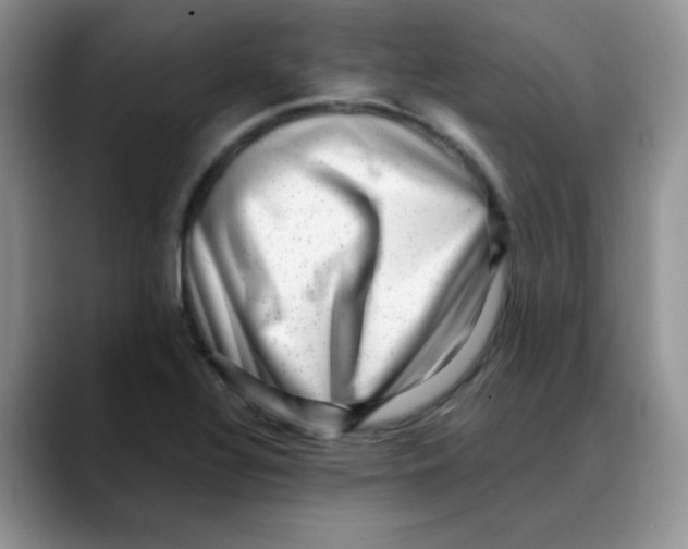 X0000088441320200706121501
