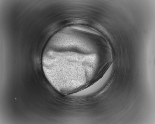 X0000088441321200706121501