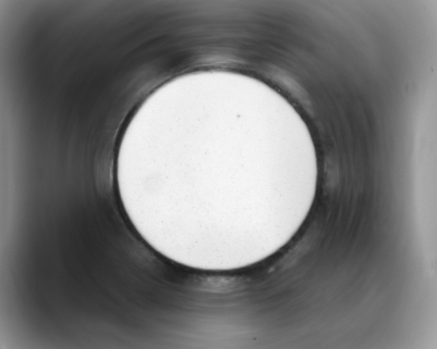 X0000088441322200706121501