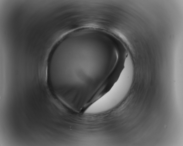X0000088441323200706121501