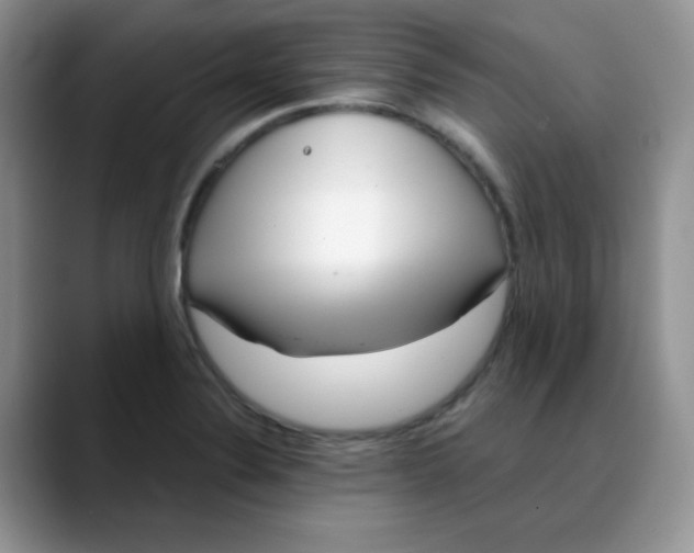 X0000088441324200706121502