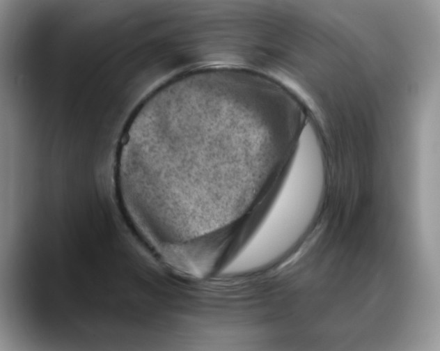 X0000088441325200706121502