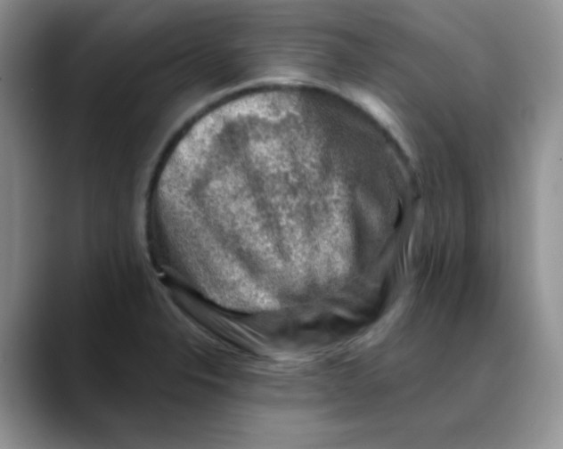 X0000088441326200706121502