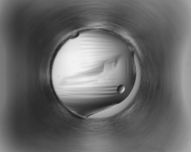X0000088441328200706121502