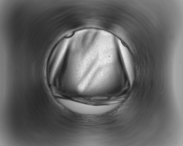 X0000088441339200706121502