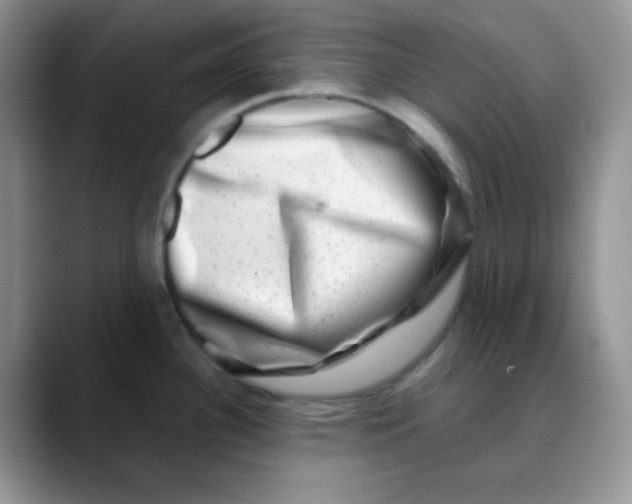 X0000088441340200706121502