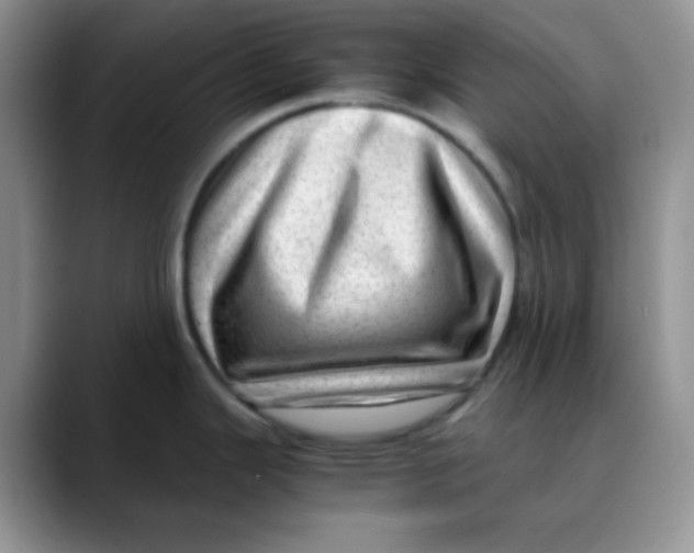X0000088441343200706121502