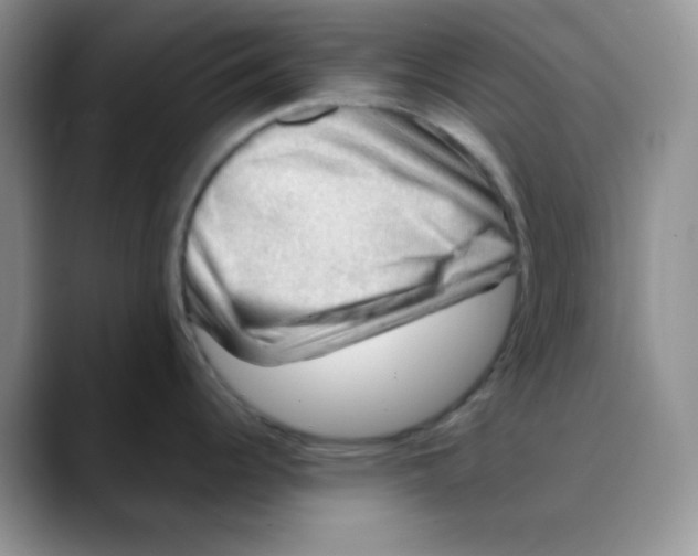 X0000088441344200706121502