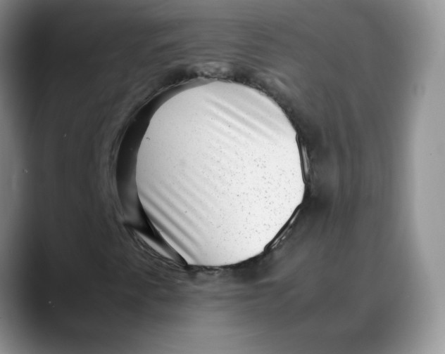 X0000088441345200706121501