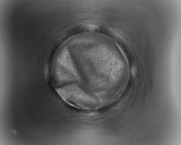 X0000088441347200706121501
