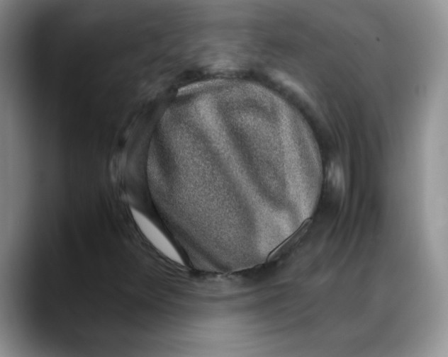 X0000088441348200706121501