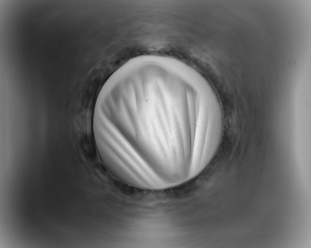 X0000088441349200706121501