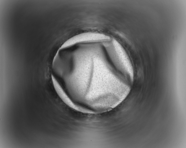 X0000088441350200706121501