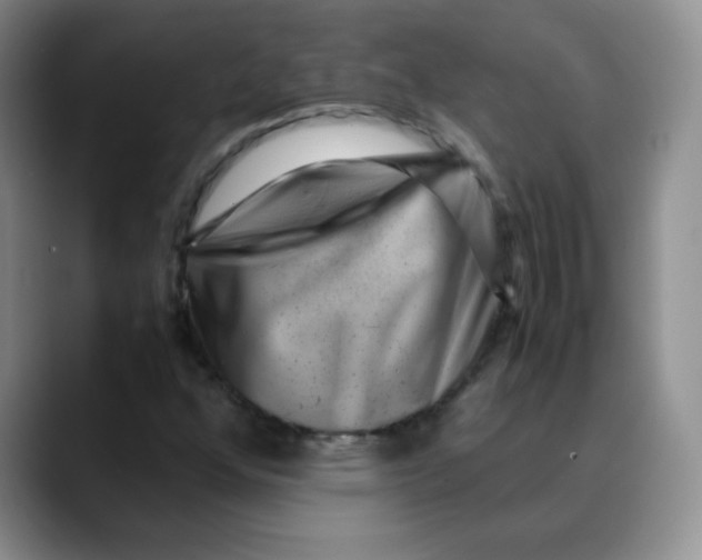 X0000088441352200706121501