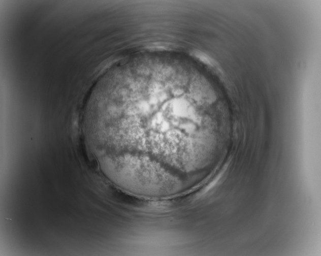X0000088441353200706121501