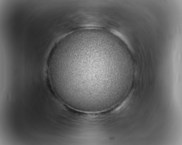 X0000088441357200706121501