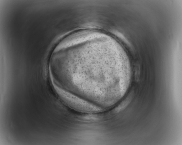 X0000088441358200706121501