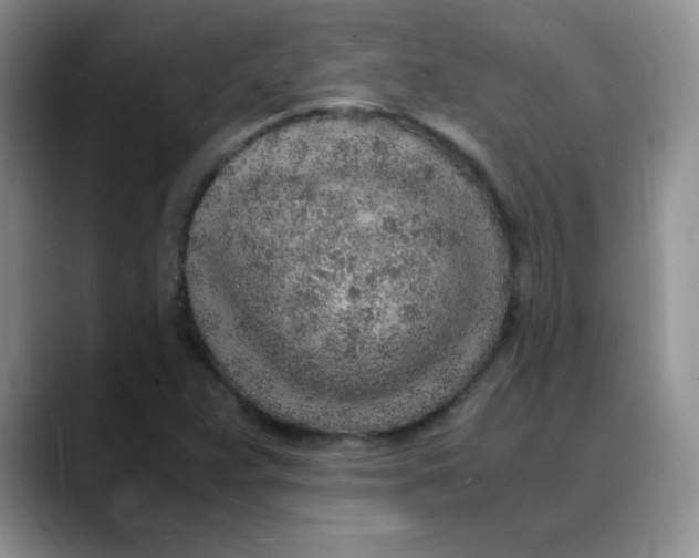 X0000088441359200706121501