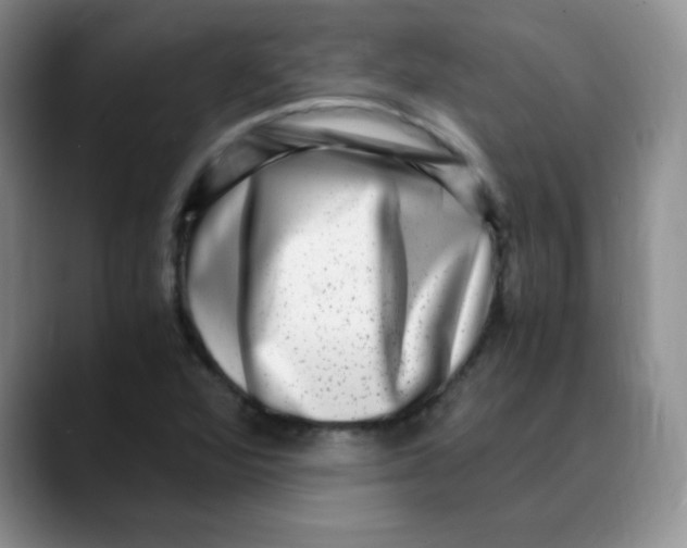 X0000088441360200706121501