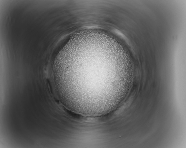 X0000088441361200706121501