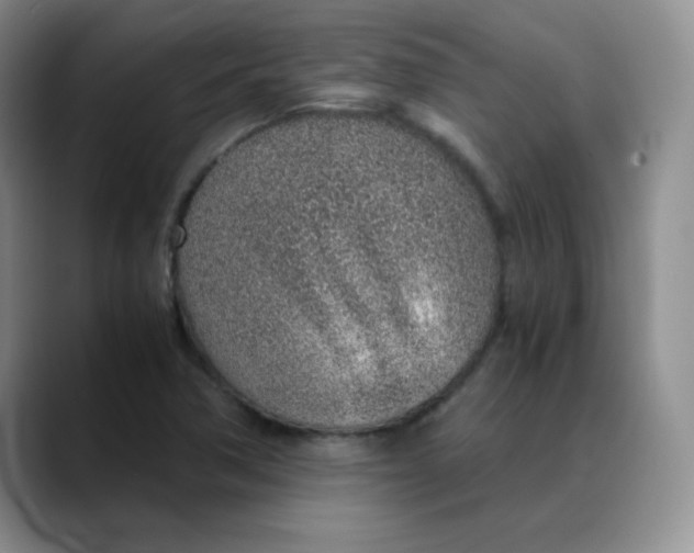 X0000088441362200706121501