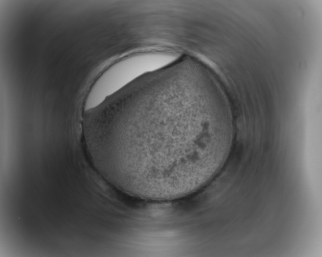 X0000088441363200706121501