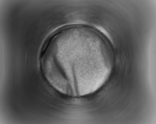 X0000088441364200706121501