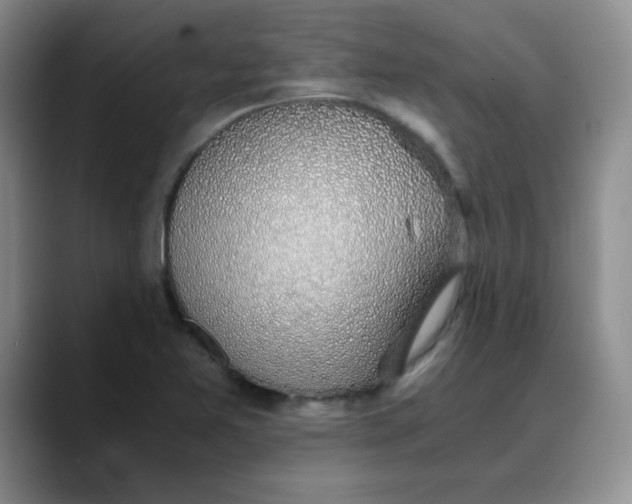 X0000088441365200706121501