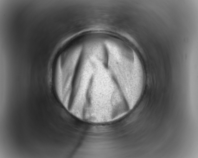 X0000088441366200706121501