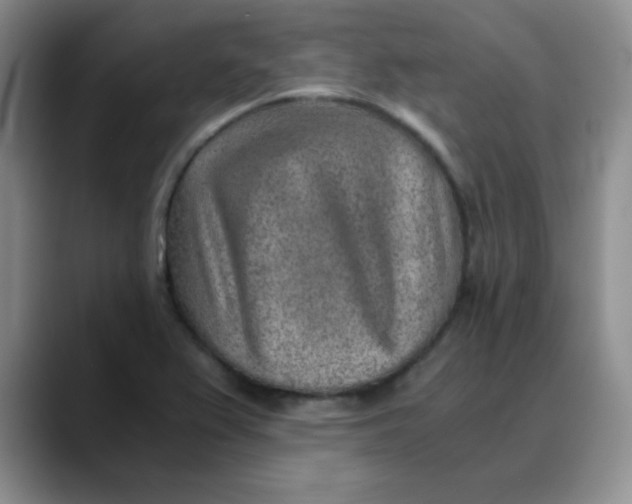 X0000088441367200706121501