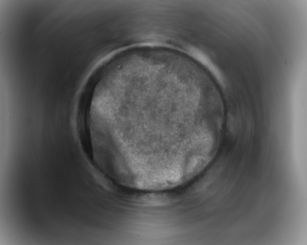 X0000088441368200706121501