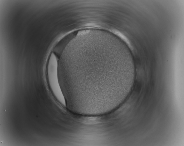 X0000088441373200706121501