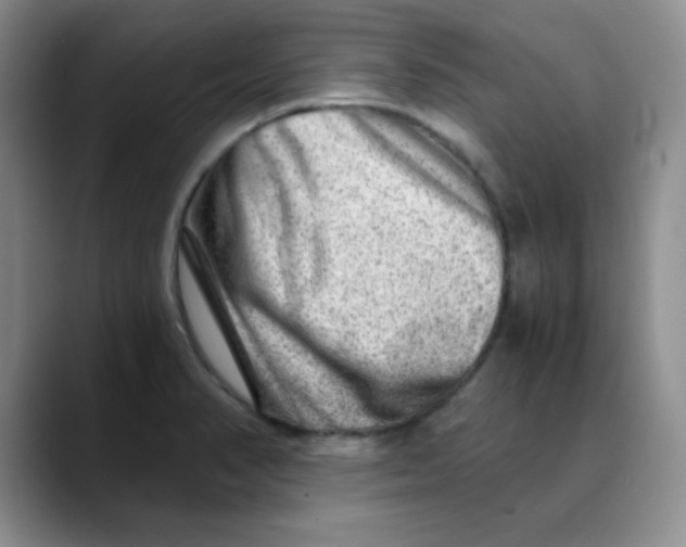 X0000088441374200706121501