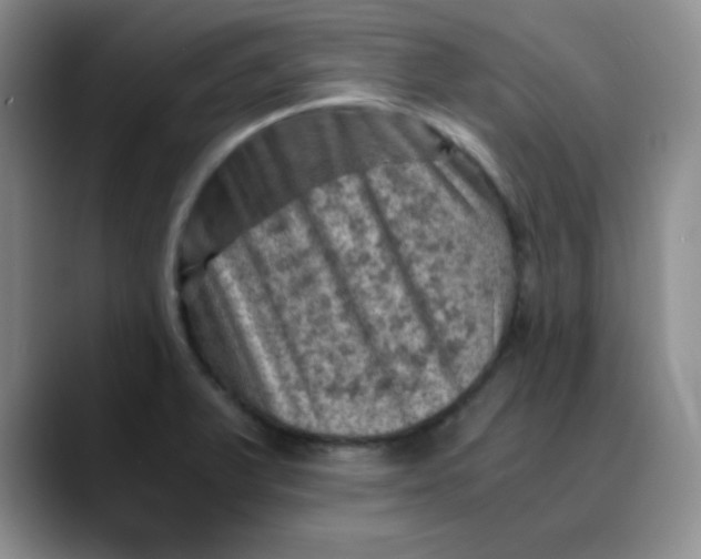 X0000088441375200706121501
