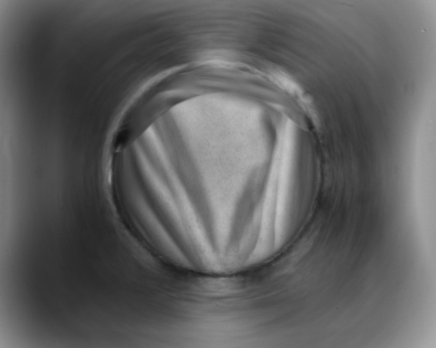X0000088441376200706121501