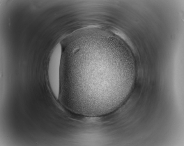 X0000088441377200706121501