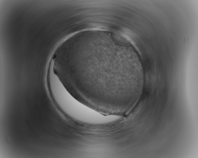 X0000088441379200706121501